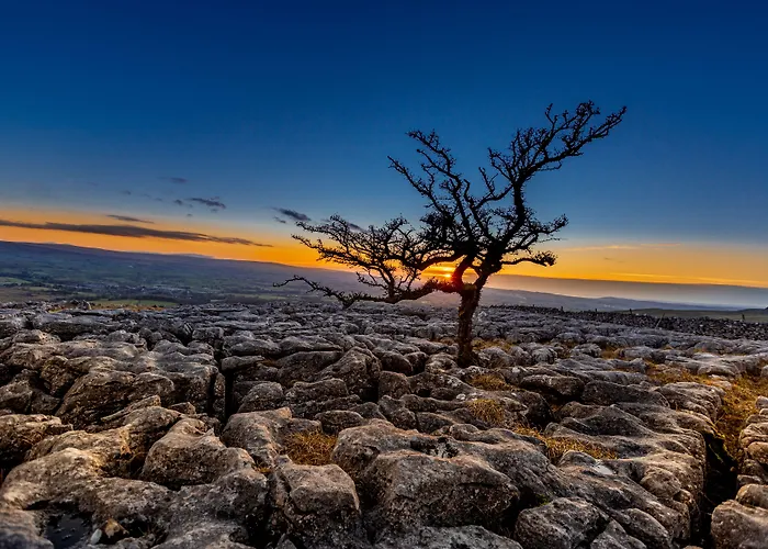 Middle Studfold Farm