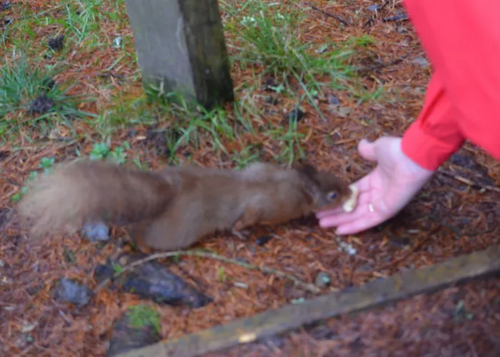 Hotell Middle Studfold Farm Horton in Ribblesdale