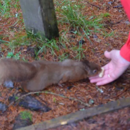 Otel Middle Studfold Farm Horton in Ribblesdale